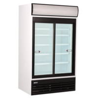 Vitrine 2 portes